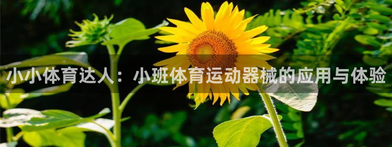 bbin视讯游戏平台