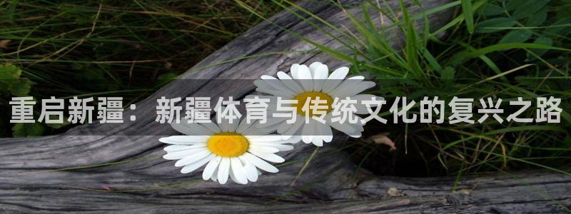 bbin视讯游戏平台