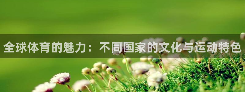 bbin视讯下